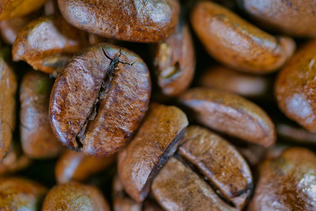 roasted coffee beans